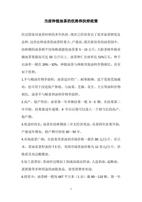 当前种植油茶的优势和扶持政策