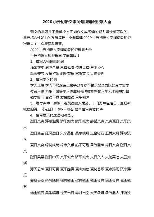 2020小升初语文字词句段知识积累大全