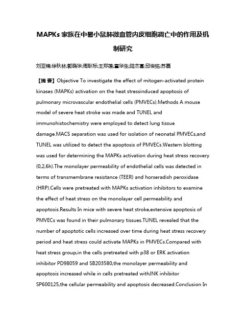 MAPKs家族在中暑小鼠肺微血管内皮细胞凋亡中的作用及机制研究