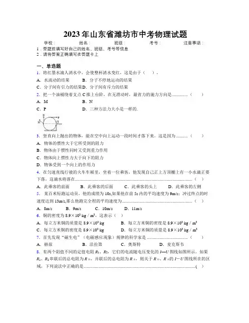 2023年山东省潍坊市中考物理试题及解析