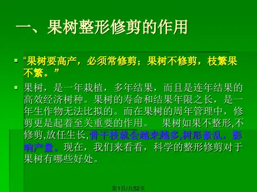 果树整形修剪技术PPT课件