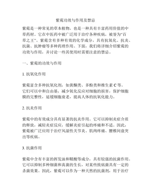 紫菀功效与作用及禁忌