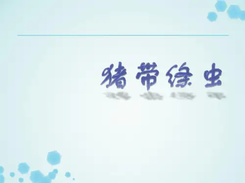 猪带绦虫