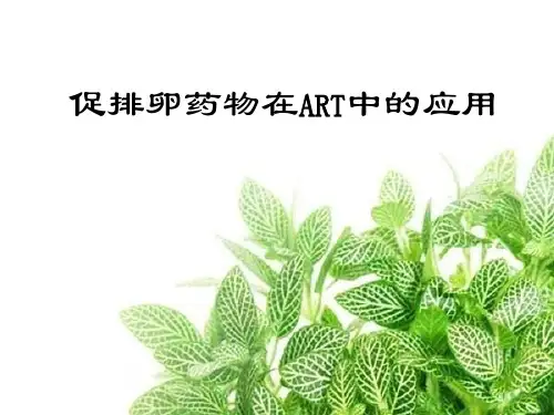 促排卵药物 PPT
