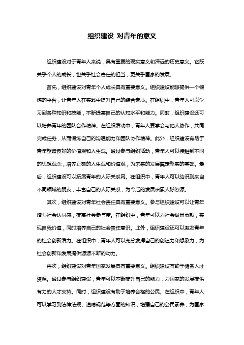 组织建设 对青年的意义
