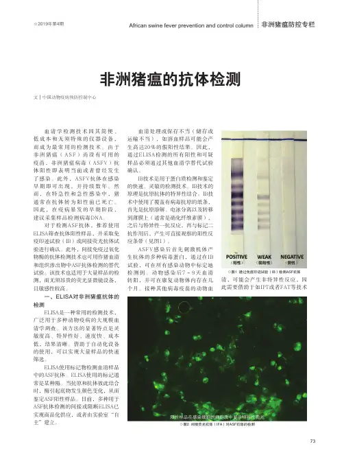 非洲猪瘟的抗体检测