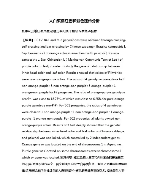 大白菜橘红色和紫色遗传分析