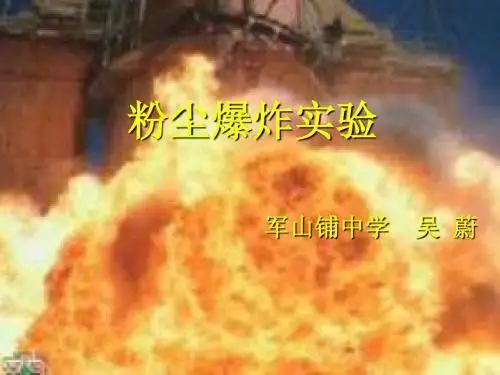 xin粉尘爆炸实验