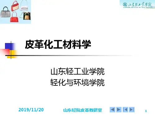 皮革化工材料