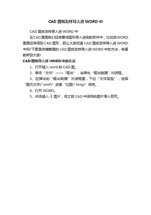 CAD图纸怎样导入进WORD中