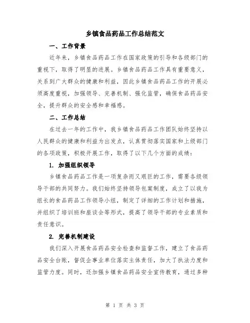 乡镇食品药品工作总结范文