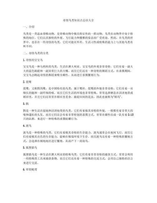 奇怪鸟类知识点总结大全