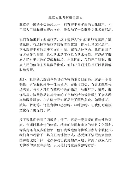 藏族文化考察报告范文