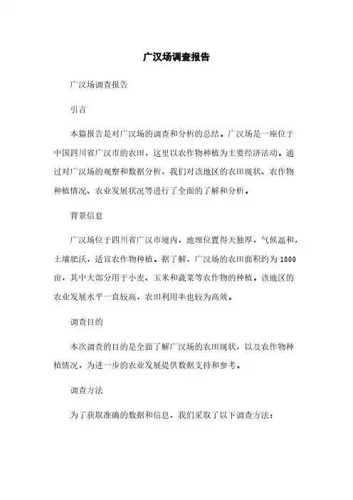 广汉场调查报告简版