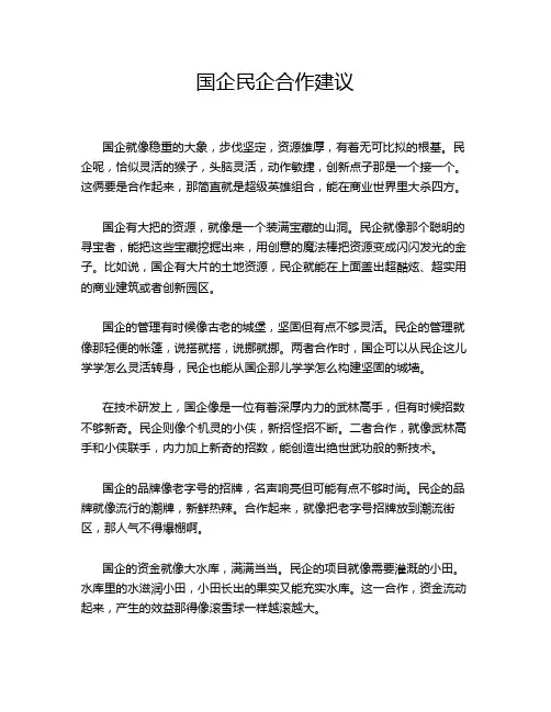 国企民企合作建议