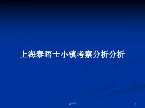 上海泰晤士小镇考察分析分析PPT学习教案