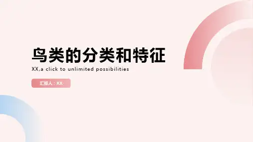 鸟类的分类和特征