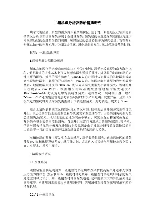 井漏机理分析及防治措施研究