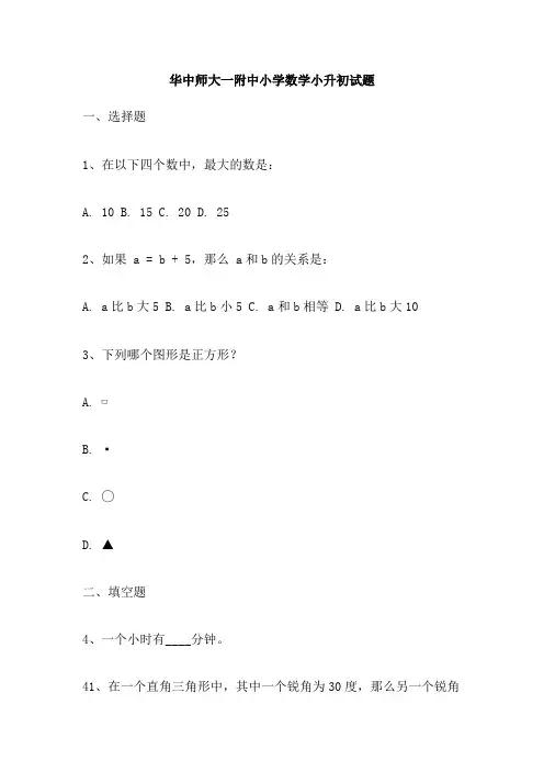 华中师大一附中小学数学小升初试题