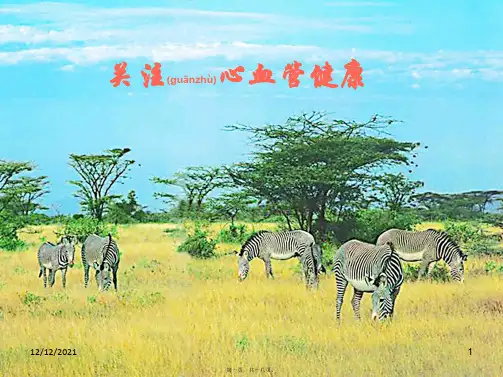 七年级生物下册 关注心血管健康课件 