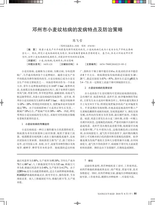 邓州市小麦纹枯病的发病特点及防治策略