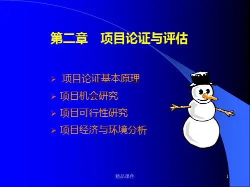 项目管理评价PPT课件