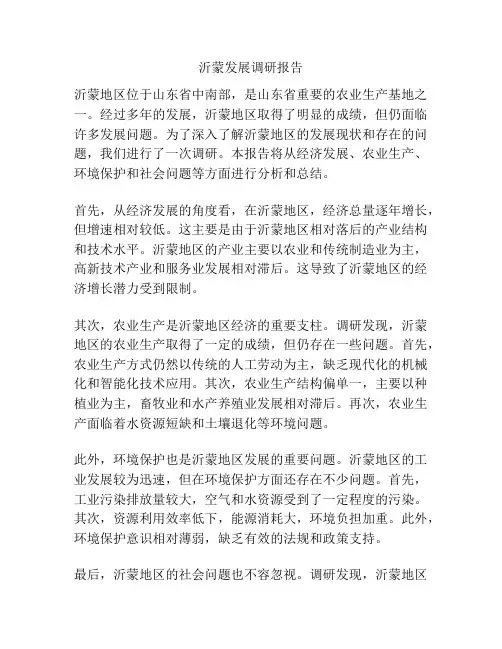 沂蒙发展调研报告