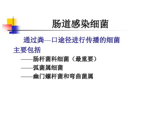 微生物 肠杆菌科
