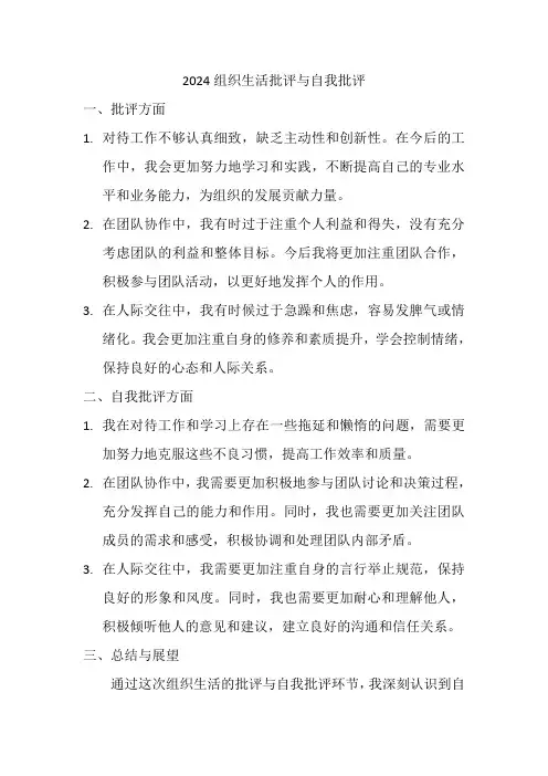 2024组织生活批评与自我批评