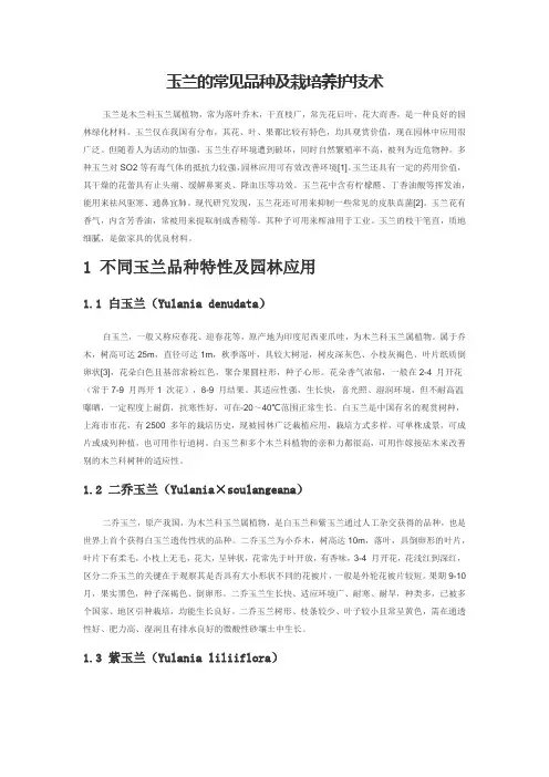 玉兰的常见品种及栽培养护技术