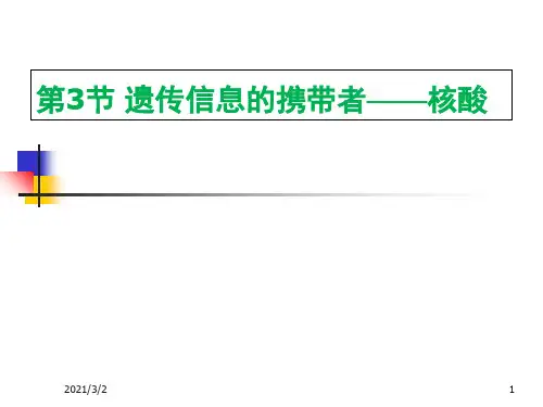 核酸精选课件PPT
