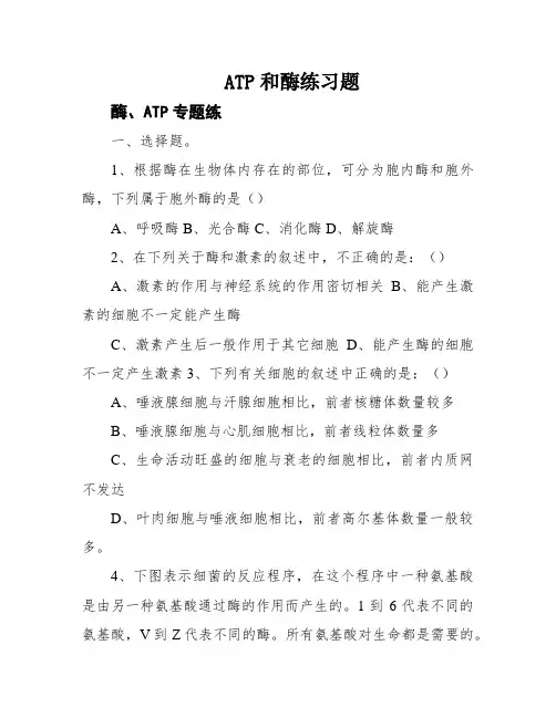 ATP和酶练习题