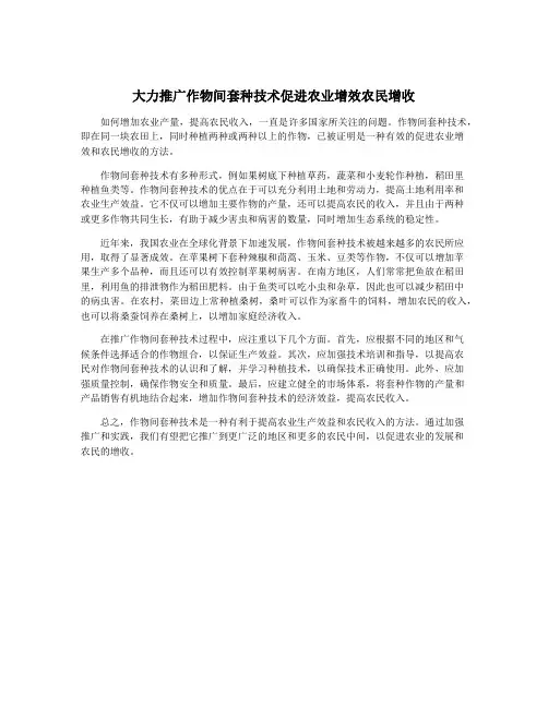 大力推广作物间套种技术促进农业增效农民增收