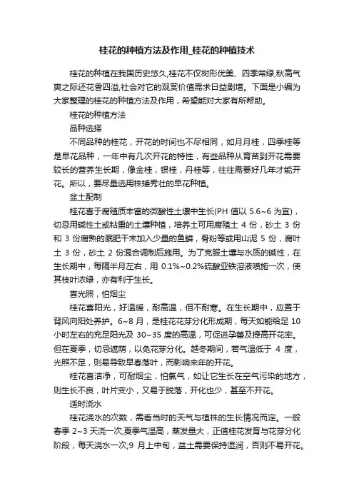 桂花的种植方法及作用_桂花的种植技术