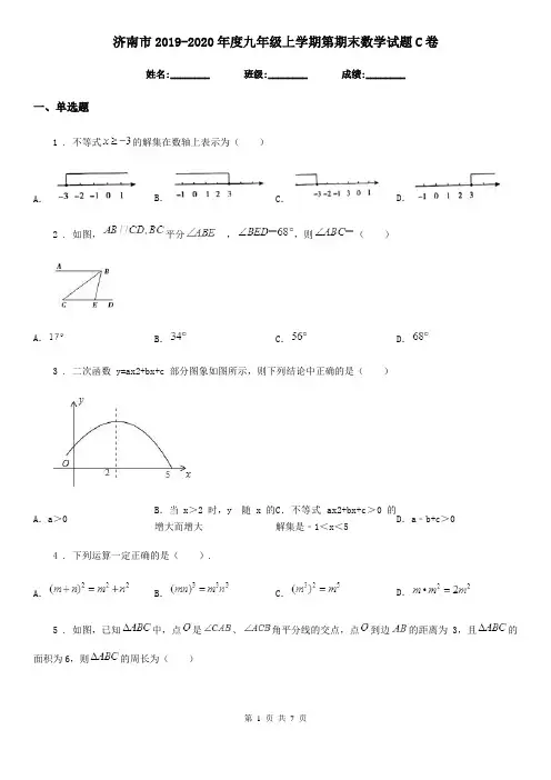 济南市2019-2020年度九年级上学期第期末数学试题C卷