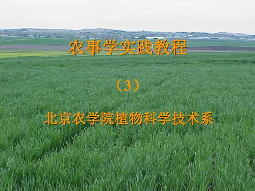 农事学实践教程.ppt