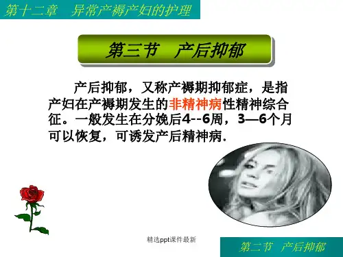 产后抑郁PPT专业课件