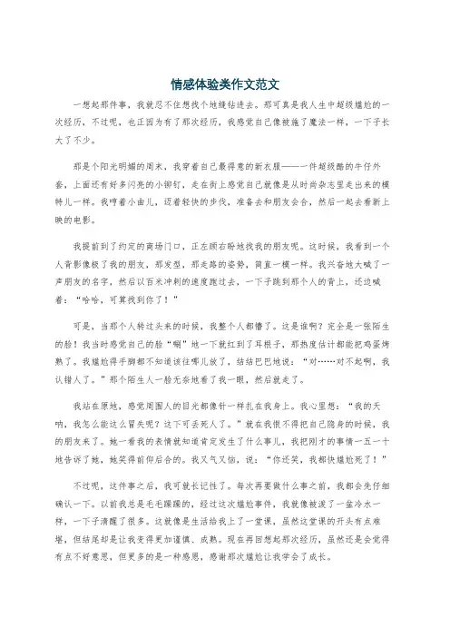 情感体验类作文范文