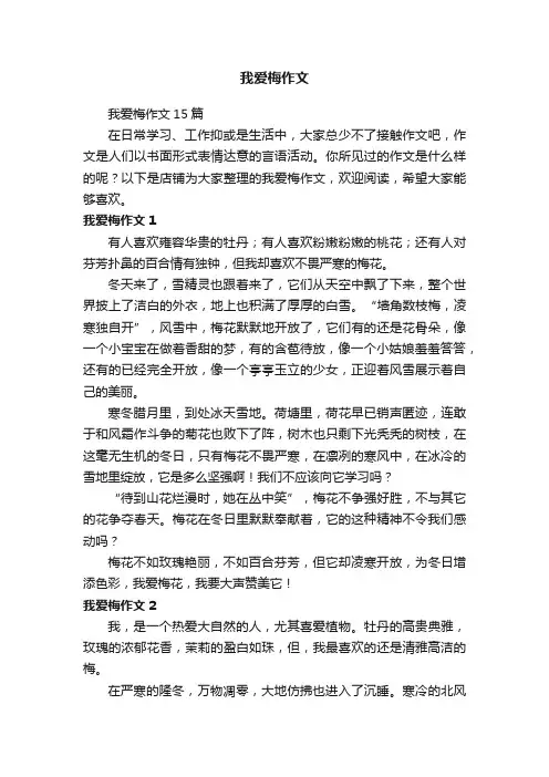 我爱梅作文