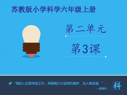 苏教版科学六年级上册课件：《地球的表面》课件——1课时