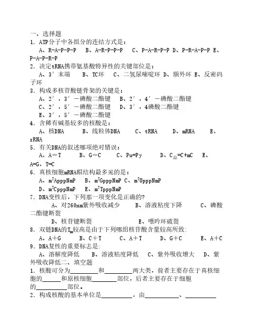 生物化学试题库及其答案——核酸