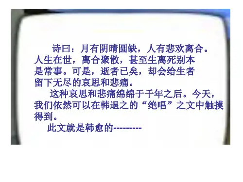 祭十二郎文(实用版)1