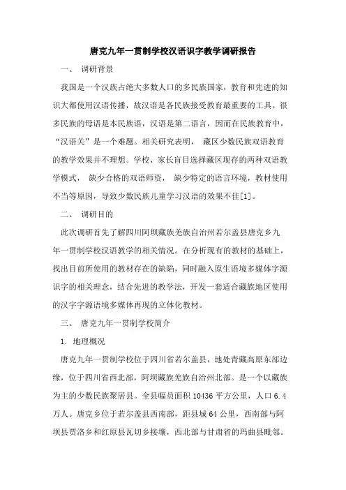 唐克九年一贯制学校汉语识字教学调研报告
