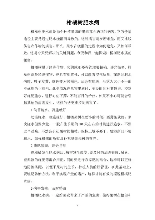 柑橘树肥水病