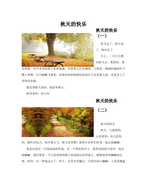 秋天的快乐(共10篇)