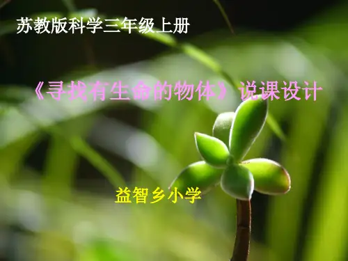 曹加荣三年级科学上册1《寻找有生命的物体》精品PPT课件