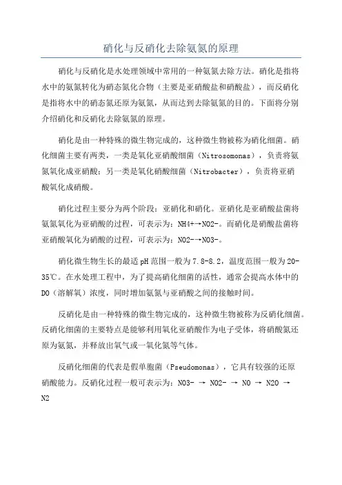 硝化与反硝化去除氨氮的原理