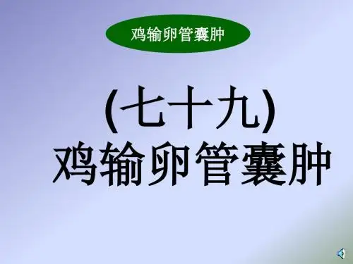 鸡输卵管囊肿的防治