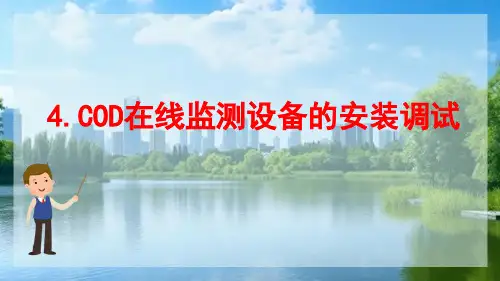 水环境连续自动监测 COD在线监测设备的安装调试