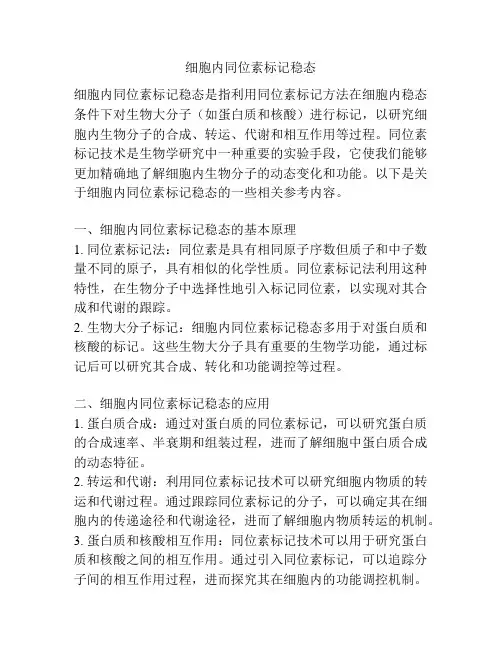 细胞内同位素标记稳态